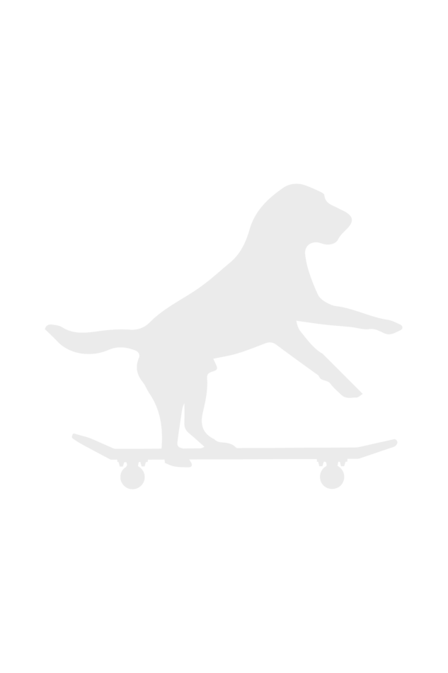 Skating Dog - Unisex Oversized T-Shirt