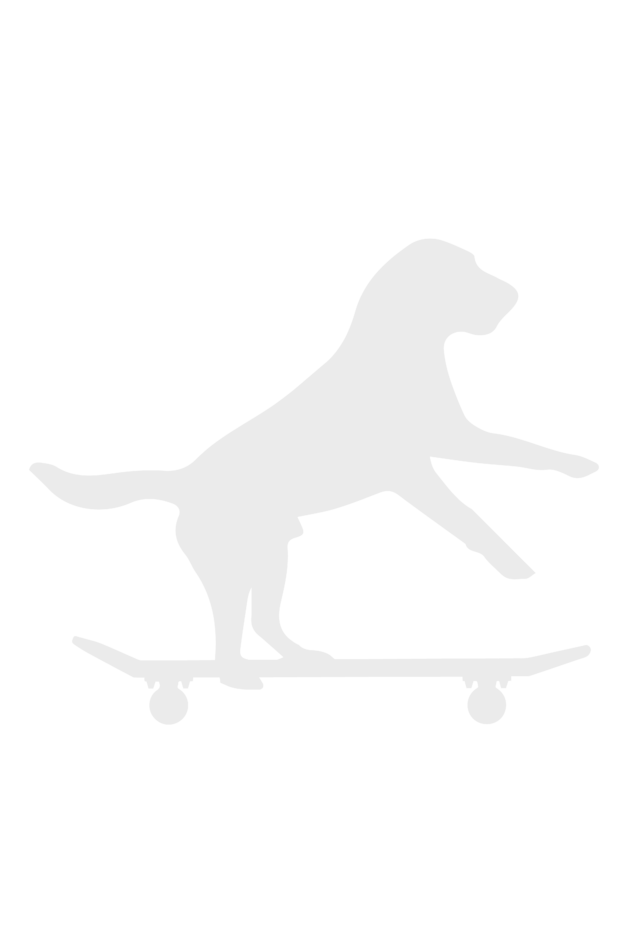 Skating Dog - Unisex Full Sleeve T-Shirt